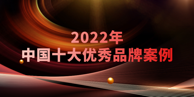 2022年中国十大优秀品牌案例-2.jpg